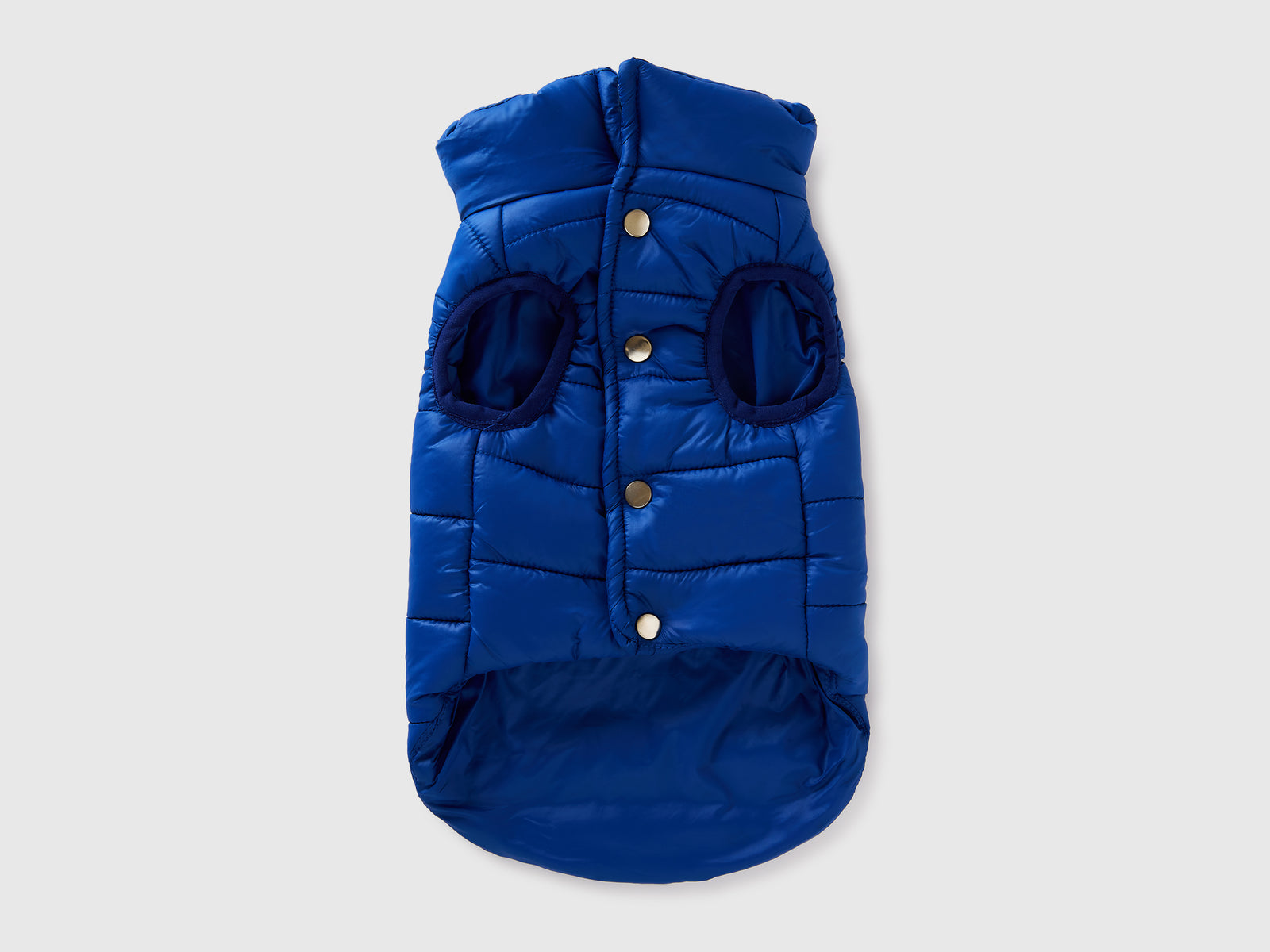 Cornflower blue padded jacket for dogs